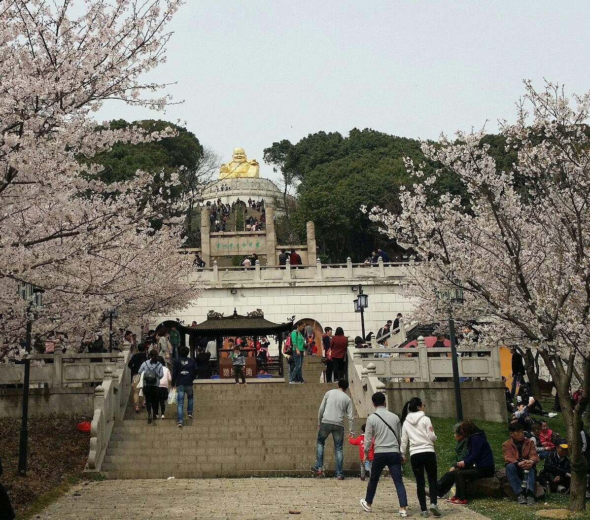 Suzhou Shangfang Mountain Big Golden Buddha Maitreya - Chen Chong