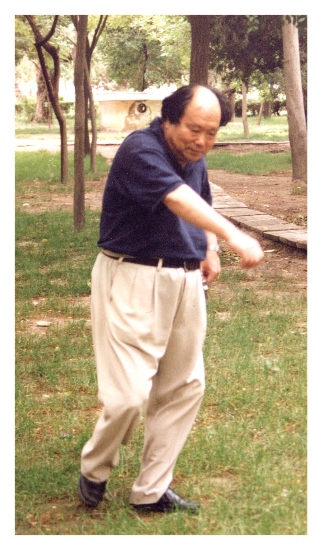 Wang Zhenfeng